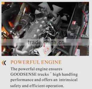 Made in China Features of Goodsense Brand Gasoline Forklift Trucks for Sale photo-4