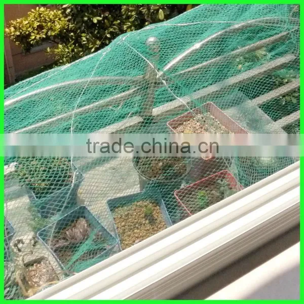 Supply High Quality Orchard Anti Bird Net/nylon Anti Bird Net/vineyard Anti Bird Net photo-6