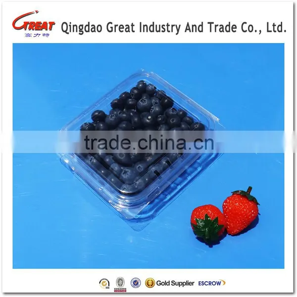 Small Square Clear Plastic Blueberry Container Clamshell