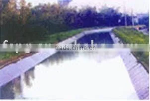 Leakage-proof Geomembrane (engineering)