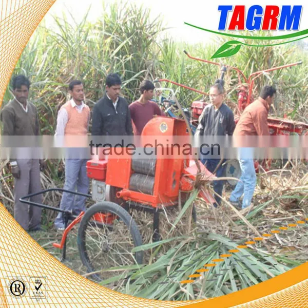 6BZ-5 Sugarcane Top Removing Machine/sugarcane Top Remover Machine With Top Efficiency Selling photo-4