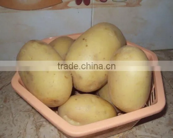 Potato Fresh Potato