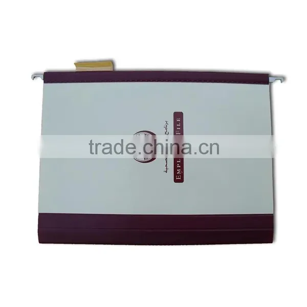 Employee File, Plastic Haning File With 1/5 Tab (BLY8-0420SF)