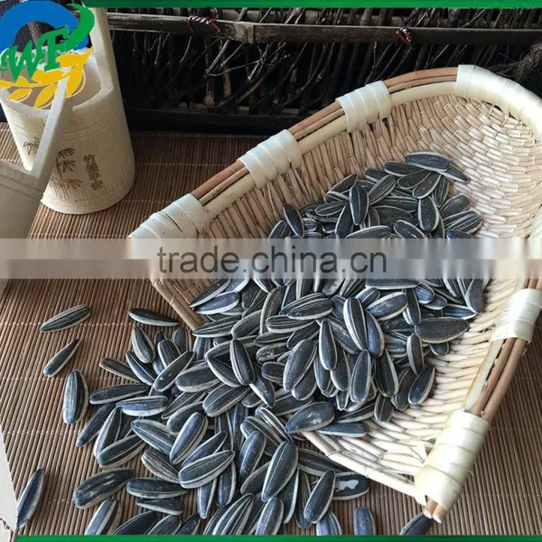 Best Cheap Sunflower Seed 601 Get Latest Price photo-2