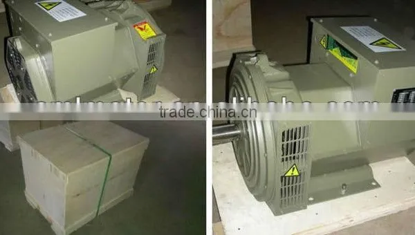 100% Copper Wire ST STC Pernanent Magnet Alternator Prices Generator 220V photo-4