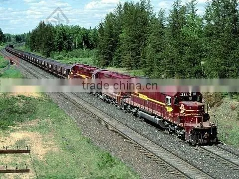 Fright Logistics for 20'ft 40'ft From Foshan to Karshi photo-5