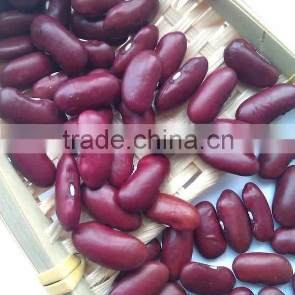 Dark Red Kidney Bean( New Crop, Heilongjiang Origin, Hps)