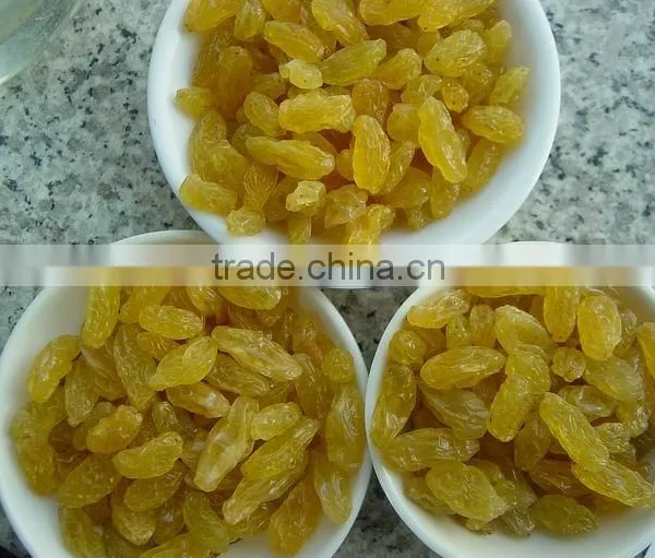 Golden Raisins New Crop 2012