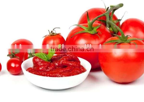 Tomato Paste With Drum Packing/WoCanned Tomato Paste, Sachet Tomato Paste, Tomato Sauce, Tomato Puree, Tomaoden Bins/Tin Packing photo-2
