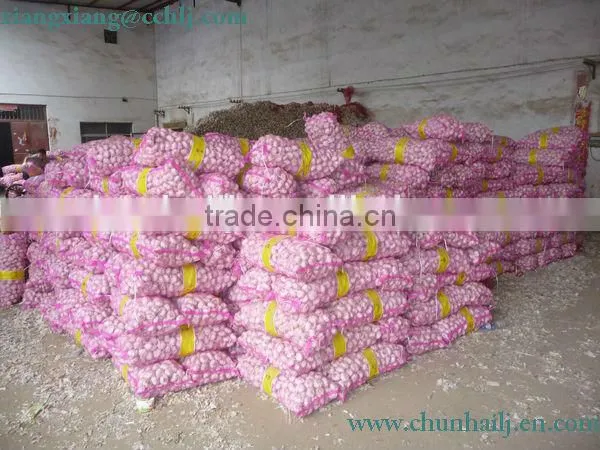 Chinese Exported Peeled Garlic photo-5