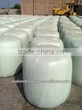 Corn Silage