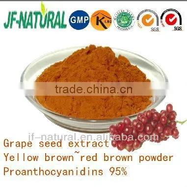 Grape Seed P.e. Extraction