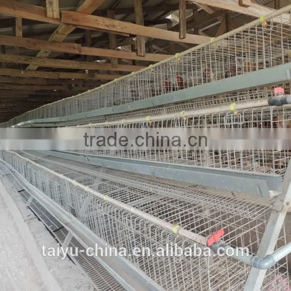 TAIYU Design Layer Chicken Cages In Kenya photo-3