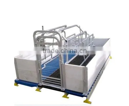 Sow Gestation Pen As Pig Farm Equipment photo-2