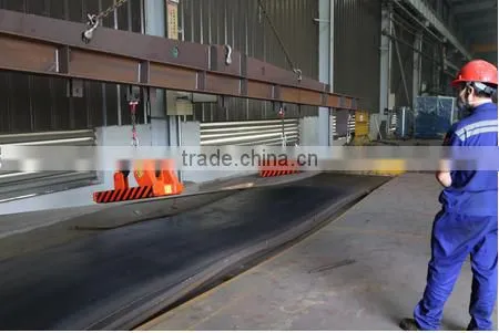 600kg-5000kg Free Energy Automatic Lifting Magnet photo-3