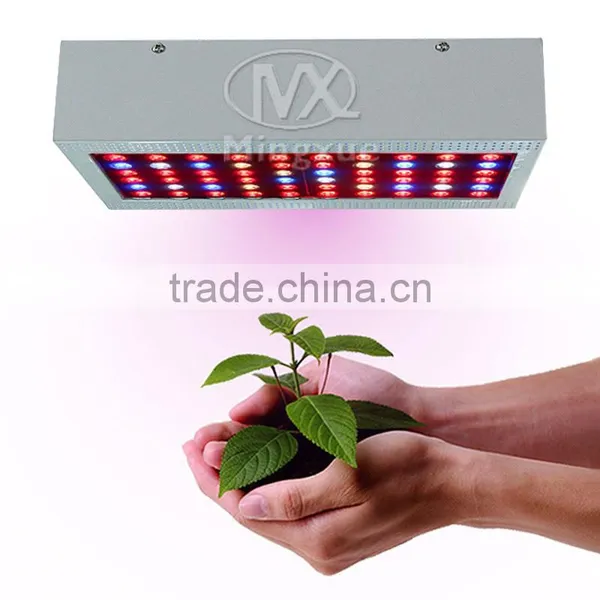 Led Bulb Decorative Plant Grow Light 300W, Full Spectrum Grow Taller photo-3