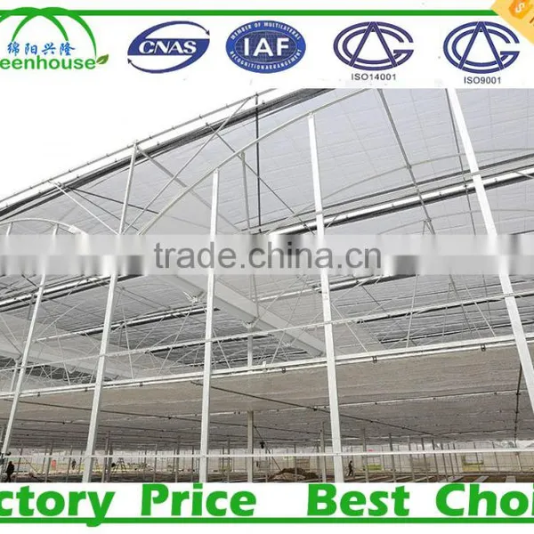 Multi-Span Agricultural Greenhouses Type and PC Sheet Cover Material Commercial Greenhouses photo-2
