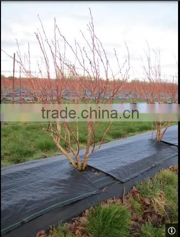 Pp/pe Woven Mesh Tree Weed Mat photo-5