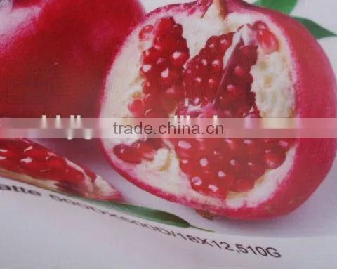 17.5 oz Pvc Flex Banner Coated 200*500 18*12 Frontlit photo-2