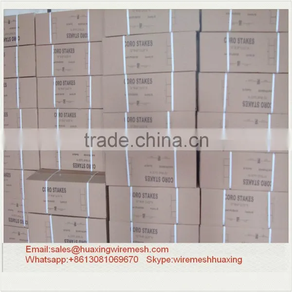 H Wire Frame photo-3