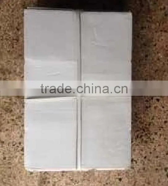 Frozen Giant Squid Fillet photo-3