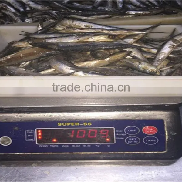 Sea Frozen Anchovy Fillets in Vinegar Water photo-6