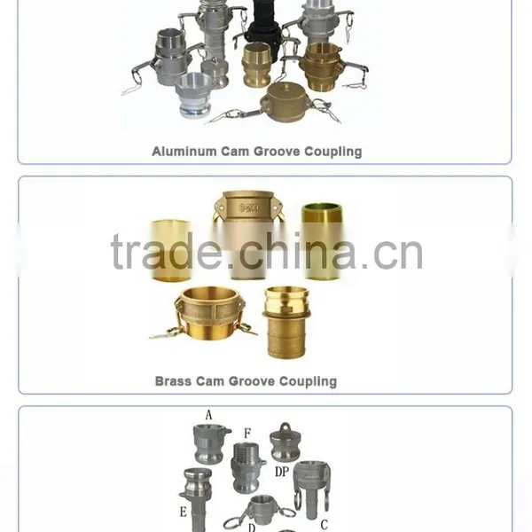 Strict Quality Testing Brass Camlock Coupling Type dp / Camlock Coupler/cam Groove Coupling