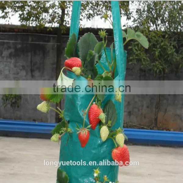 Cheap Eco-friendly Indoor Plastic Hanging Planting Bags photo-3