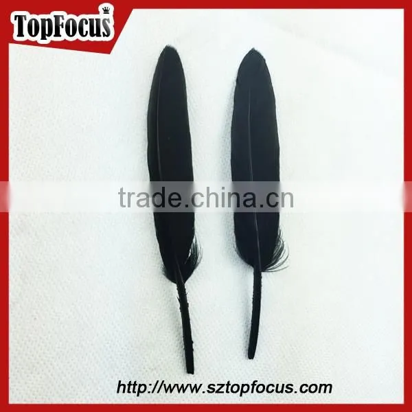 Cheap Dyed Any Color Indian Feather Headdress Down Goose Feather Price photo-5