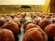 New Design Fish Meat Balls Energy Balls Meatball Forming Machine photo-6