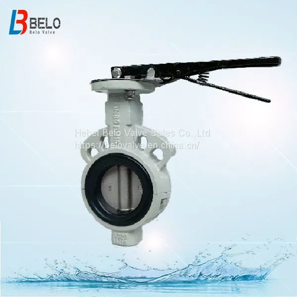 Center Line Wafer Butterfly Valve Rubber Valve Seat photo-4