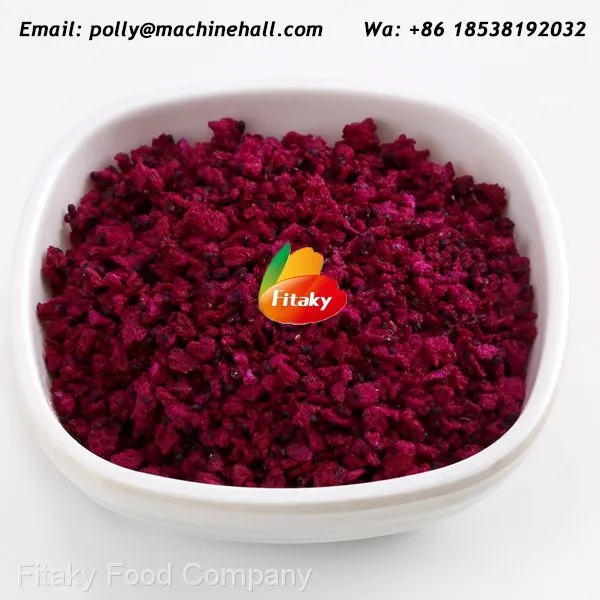 High Quality Freeze Dried Dragon Fruit Slices Wholesale Price photo-3