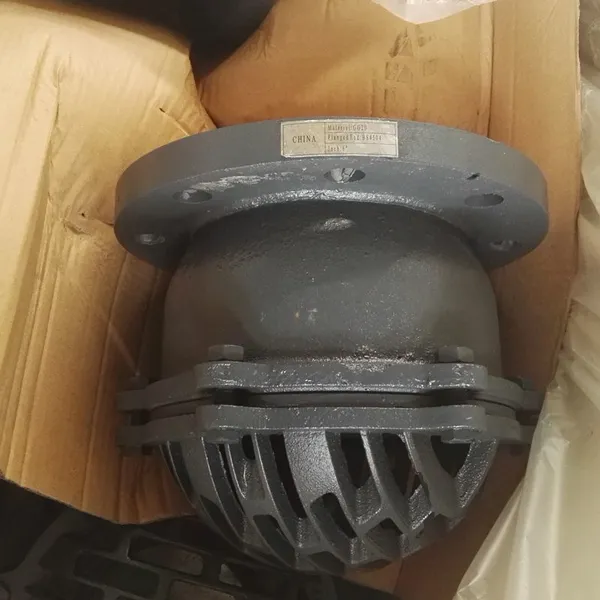 BS Rubber Seal Foot Valve Non-return for Water Treatment System photo-1