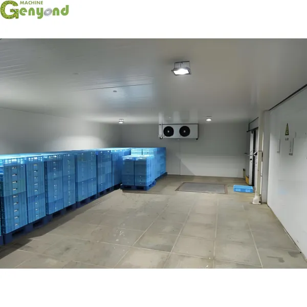 Walk in Cold Storage Room Refrigeration Equipment for Fresh Potato Vegetables Mushroom Freezer Equipment at Factory Price photo-4