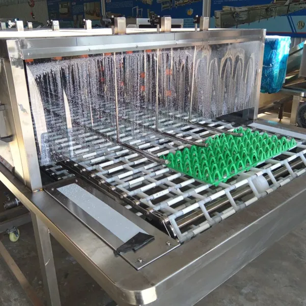 Egg Tray Washing Machine for Chicken Farm photo-5