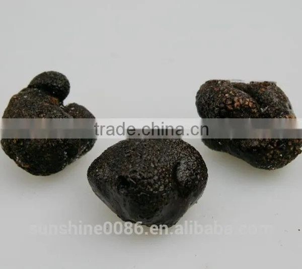 High Quality Fresh Black Truffle From Yunnan,china photo-5