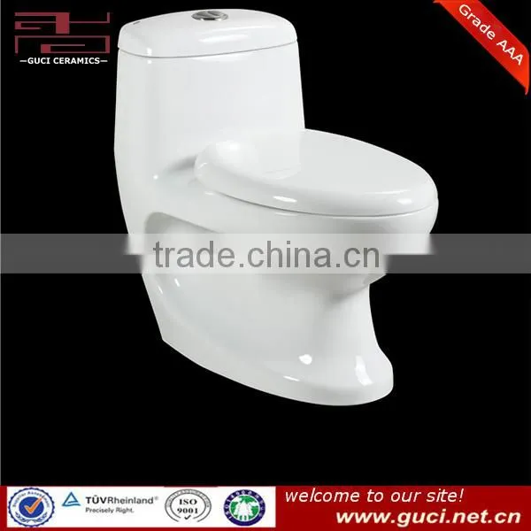 Chinese Washdown One Piece Toilet