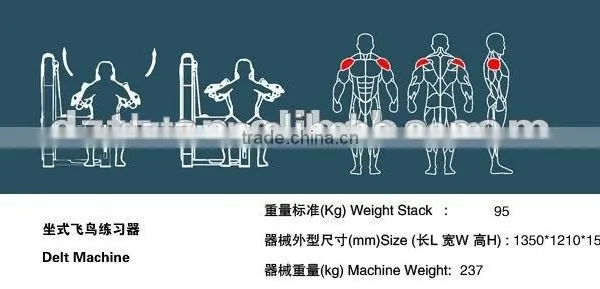 Selling Gym Equipment /best Price/ TZ-6010 Delt Machine photo-3