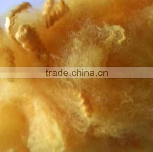 Manufacturer for Recycled Polyester Fiber photo-2