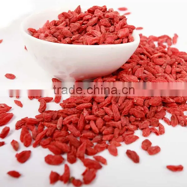 Organic Chinese Dried Goji Berry Promotional Fruit Tea Medlar Dried Wolfberry Herbal Tea photo-2