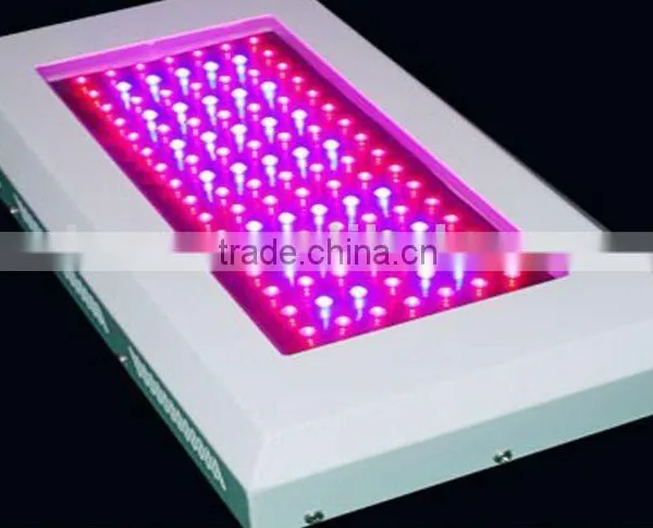 LED Grow Light