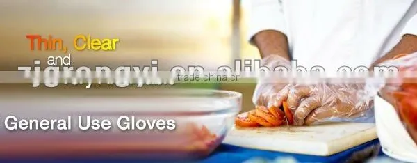 Disposable Embossed PE Gloves