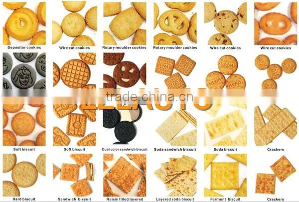 Biscuit Production Line photo-3