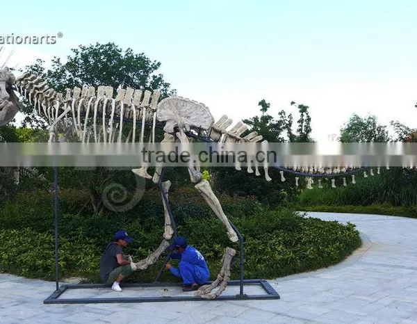 Outdoor Park Life Size Fiberglass Dinosaur Skeleton photo-4