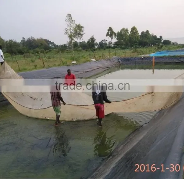 HDPE Plastic Fish Ponds Farming in Afric