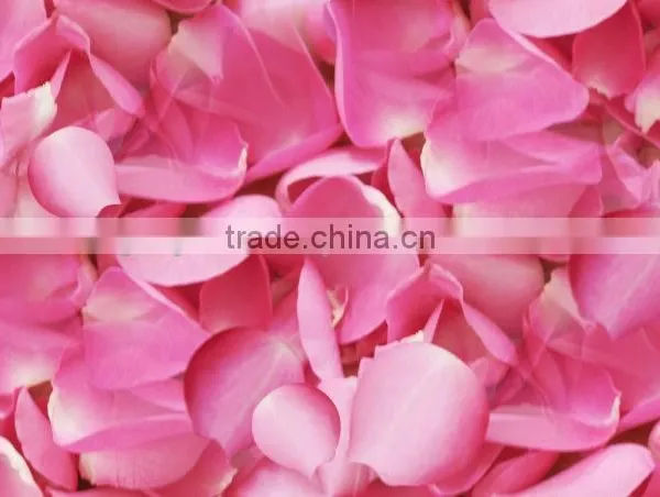 100% Pure Rose Essential Oil photo-4