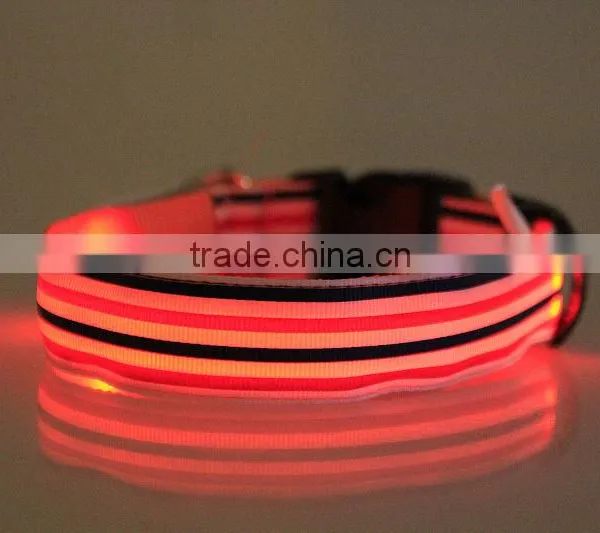Led Dog Collar photo-4