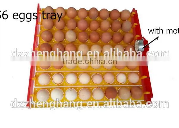 Cheap Mini 56 Egg Incubator Automatic ZH-56 Mini Egg Incubator for Sale photo-4