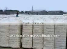 Ilaka Cotton