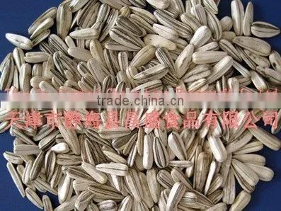Different Types of Sunflower Seeds photo-3